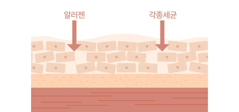[아이돌 대란템]아토팜 판테놀 크림 80ml 단품/기획 택1 상세페이지 38